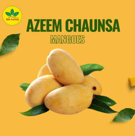 Azeem Chaunsa Mangoes |  RN farms, Multan
