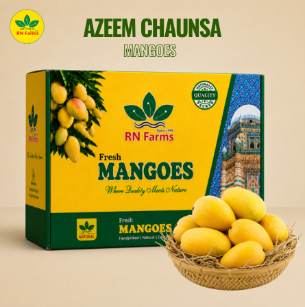 Azeem Chaunsa Mangoes |  RN farms, Multan