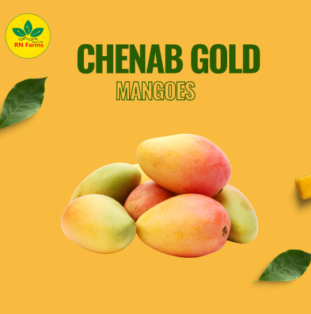 Chenab Gold Mangoes | RN Farms, Multan