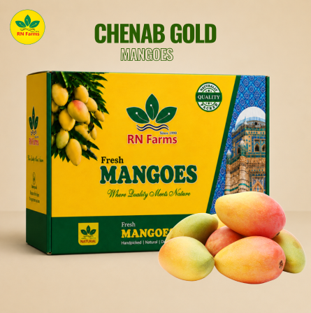 Chenab Gold Mangoes | RN Farms, Multan