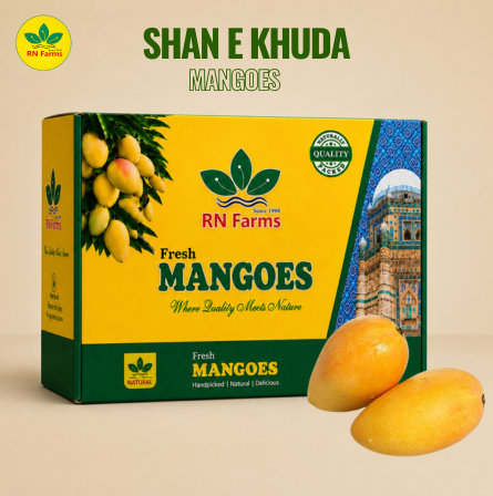 Shan-e-Khuda Mangoes| RN farms, Multan