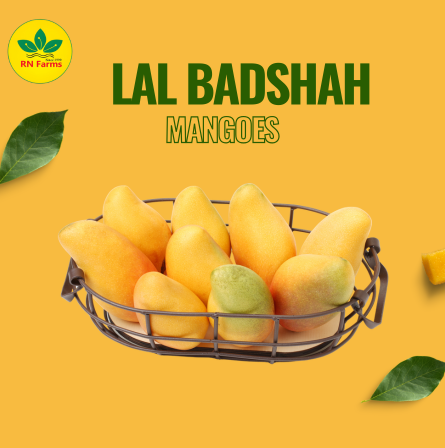 Lal Badshah Mangoes | RN farms, Multan