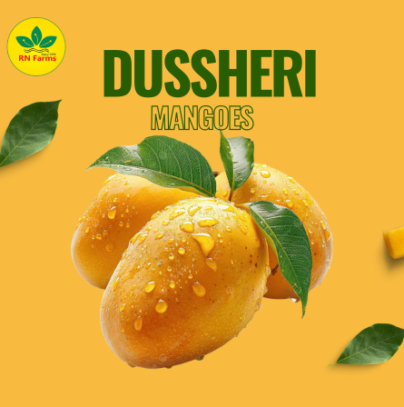 Dussheri Mangoes  | RN Farms, Multan