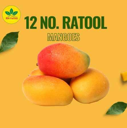 12 No. Ratool Mangoes  | RN Farms, Multan