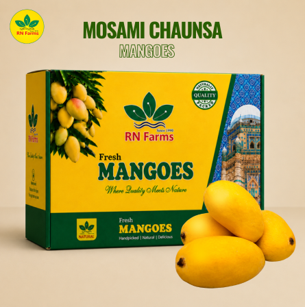 Mosami Chaunsa Mangoes  | RN Farms, Multan