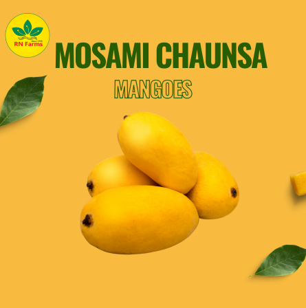 Mosami Chaunsa Mangoes  | RN Farms, Multan