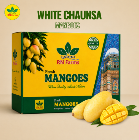 White Chaunsa Mangoes| RN Farms, Multan