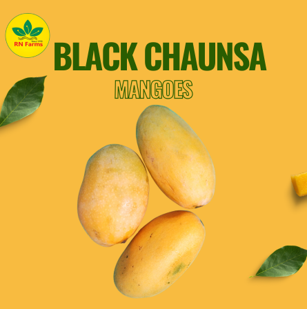 Black Chaunsa Mangoes | RN Farms, Multan