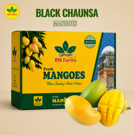 Black Chaunsa Mangoes | RN Farms, Multan
